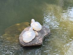 -新江湾城公园