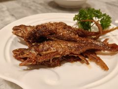 -喜来登由由大酒店九州膳坊中餐厅