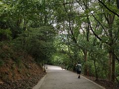 -宝岩生态观光园