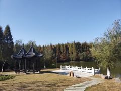 -天生桥景区