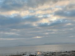 -深圳湾公园(南山区)