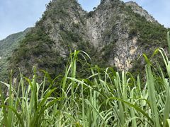 -明仕田园