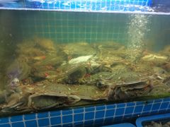 -老东镇啤酒屋海鲜加工·蒸汽海鲜·海鲜烧烤(台东店)