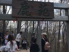 -帽儿山风景区