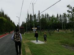 -上海长兴岛郊野公园