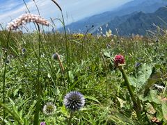 -白草畔自然风景区