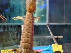 -辉记炭烧海鲜大排档·老字号(福田店)