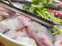 -老凯俚酸汤鱼(多彩城店)