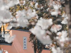 -鸡鸣寺