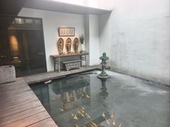 -觀芷隐轩
