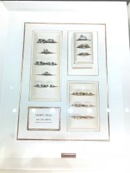 -DR钻戒(杭州星光大道店)