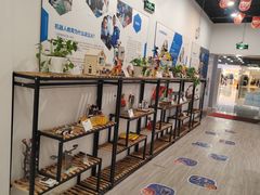 -能力风暴机器人编程中心