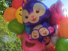 -长白岛森林公园