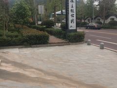 -铁山坪森林公园