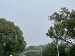 -南山植物园