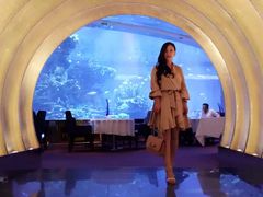 -迪拜帆船酒店海底餐厅