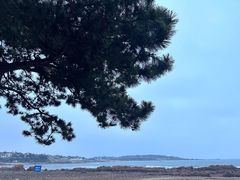 -青岛第三海水浴场