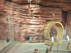 -正佳雨林生态植物园