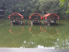 -侨美·唐荔园·40年地道粤菜