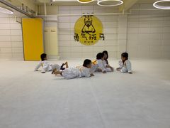 -勇气斑马·巴西柔术&跆拳道(浦东三林店)