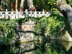 -蝴蝶泉公园