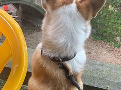 -欣怡茶庄·始于1999(梅家坞店)