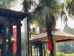 -野蔓果·山野菜(西湖景区·龙井茶田店)