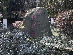 -邓小平故里