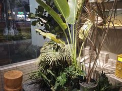 -自然椰·海南清补凉(明珠店)