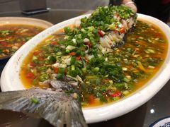 -飞虹鱼馆(春华路店)