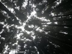 -山王坪喀斯特国家生态公园