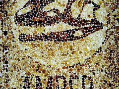 -湖南省地质博物馆