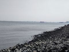 -上海滨江森林公园