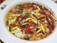 -太二酸菜鱼(武汉光谷保利店)