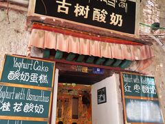 -古树酸奶(八廓南街店)