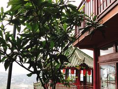 -枇杷园食为鲜火锅(南山店)