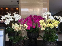 -长沙小天鹅戴斯酒店