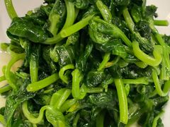 高山豆苗-南麓·浙里(外滩店)
