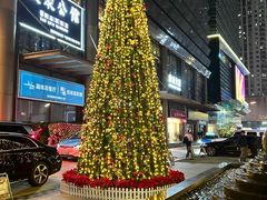 -深圳温德姆至尊酒店