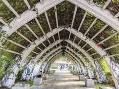 -文华公园(禅城区)