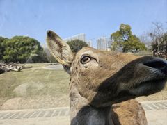 -常州淹城野生动物世界
