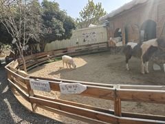 -HERRE·FARM 赫尔露营农场·团建聚会包场