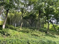 -上海市保健医疗中心