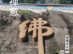 -长春观