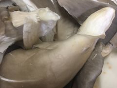 -大龙火锅(老店)