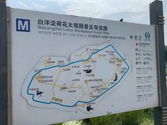 -白洋淀景区