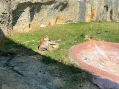 -杭州野生动物世界