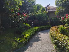 -中华郡文化旅游景区