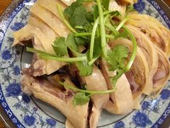 三黄鸡-九斤黄三黄鸡专卖店