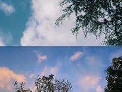 -共青国家森林公园-售票处